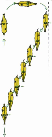 cession � la jambe