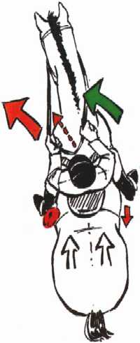 comment ex�cuter une �paule en dedans !