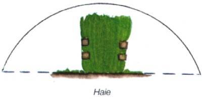 haie