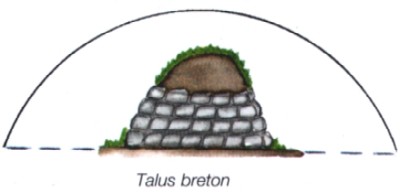 talus